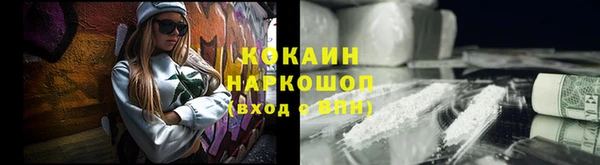 метадон Алексин