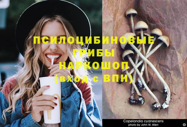 скорость Алзамай