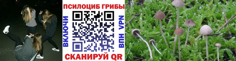 купить наркотики цена Иннополис Псилоцибиновые грибы Psilocybine cubensis